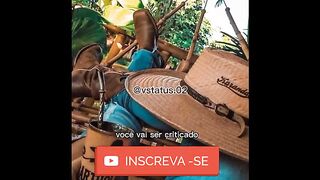 motivaçaodiaria