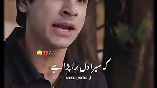 Wahshi best drama