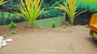 Rooftop Swimming Pool part 57 #viral