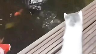 dibilangin nya batu banget sih