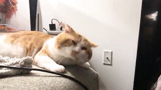 Sphinxer