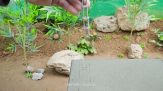 Villa with Koi Pond After part 27 #viral