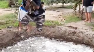 Funny fooled