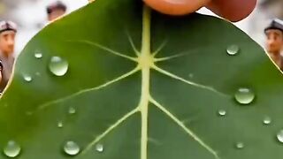 mini world 469