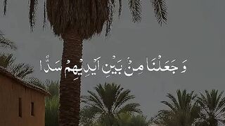 Quran paak Tilawat must watch 6