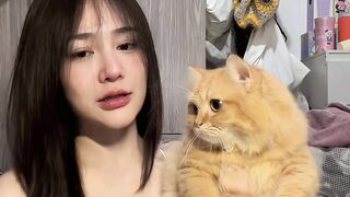 main kucing aja aku