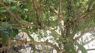 প্রকৃতির সৌন্দর্য কখনো পুরোনো হয় না। ????✨