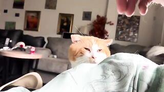Butt buddies