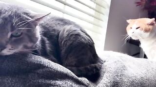 I’m not touching you