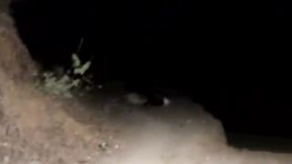 गो माता की रक्षा करना हमारा धर्म हे