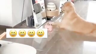 حركة غريبة