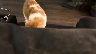 His spot