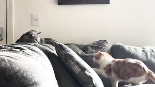 Naughtyin