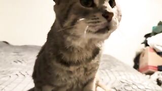 Purry boy 2