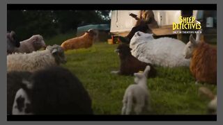 The Sheep Detectives 2