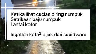Funny videos