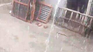 বৃষ্টি 4