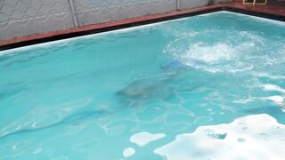 swimmer