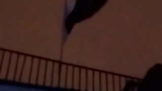 Pakistani Flag 2