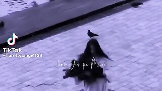 Nice Song 13