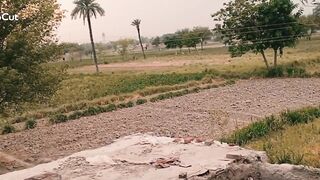 My village view very beautiful