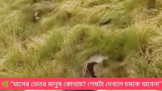 ???? ঘাসের ভেতরে মানুষ! বিশ্বাস না হলে শেষ পর্যন্ত দেখুন