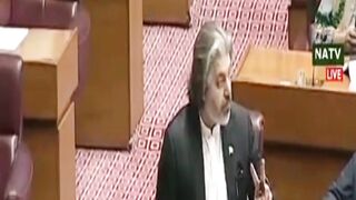 Ali Muhammad Khan Speech in National Assembly قومی اسمبلی میں علی محمد خان کی تقریر
