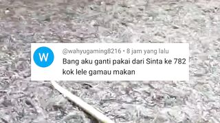Begini jadinya jika Gonta-ganti pakan pelet
