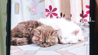 cute????