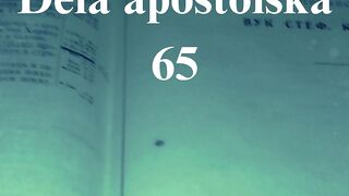 Dela apostolska 65
