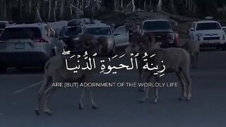 Quran paak Tilawat Must watch 5