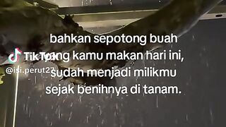 Layanan CS Agoda website resmi hubungi Whatsap