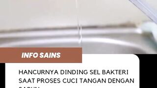penting cuci tangan sabun