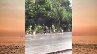 pasti kena prank semua yang melihat ini