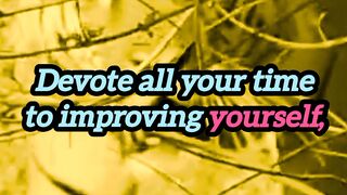 Devote all you time to improving