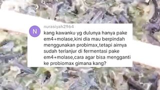 Awalnya menggunakan Em4 Lalu ingin GANTI dengan PROBIOMAX