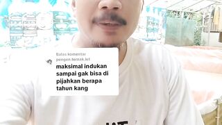Berapa lama induk lele bisa dipijahkan❓