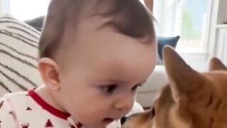 Sweet baby and pets