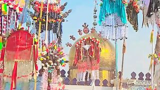 10 muharam jaloos 2