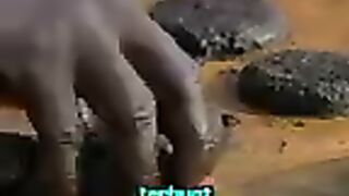 Burger Nyamuk Dari Afrika