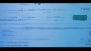 Welcome to the Jungle (2026) Bollywood Hindi Movie HQCam 720p HEVC.mkv