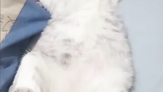 Dont sleep away