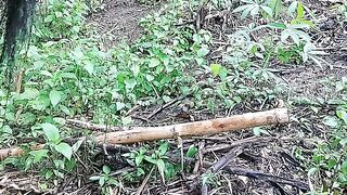 rain in the forest