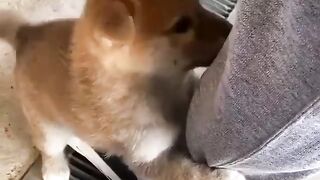 he just cute that way