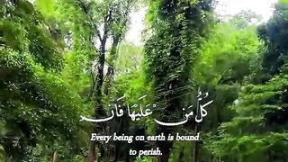 Tilawat e Quran Majeed must watch 2