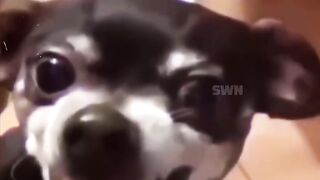 Funny video part 1 6