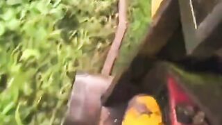???? This Tiny Jungle Train Rides on the Craziest Tracks Ever! ???????? #Shorts