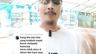 Apakah bisa cetak induk dari lele BONGSORAN❓