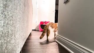 Where’d you go!?