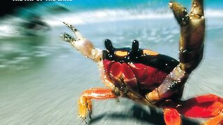 The Prodigy - Breathe - 1996